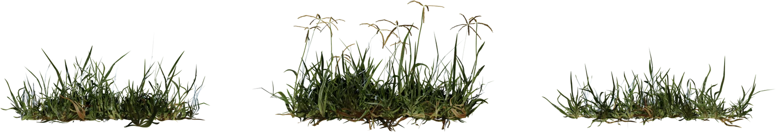Bermuda Grass Patch 4K, 3D model preview 2