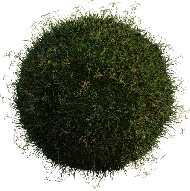 Bermuda Grass Patch 4K, 3D model preview 5