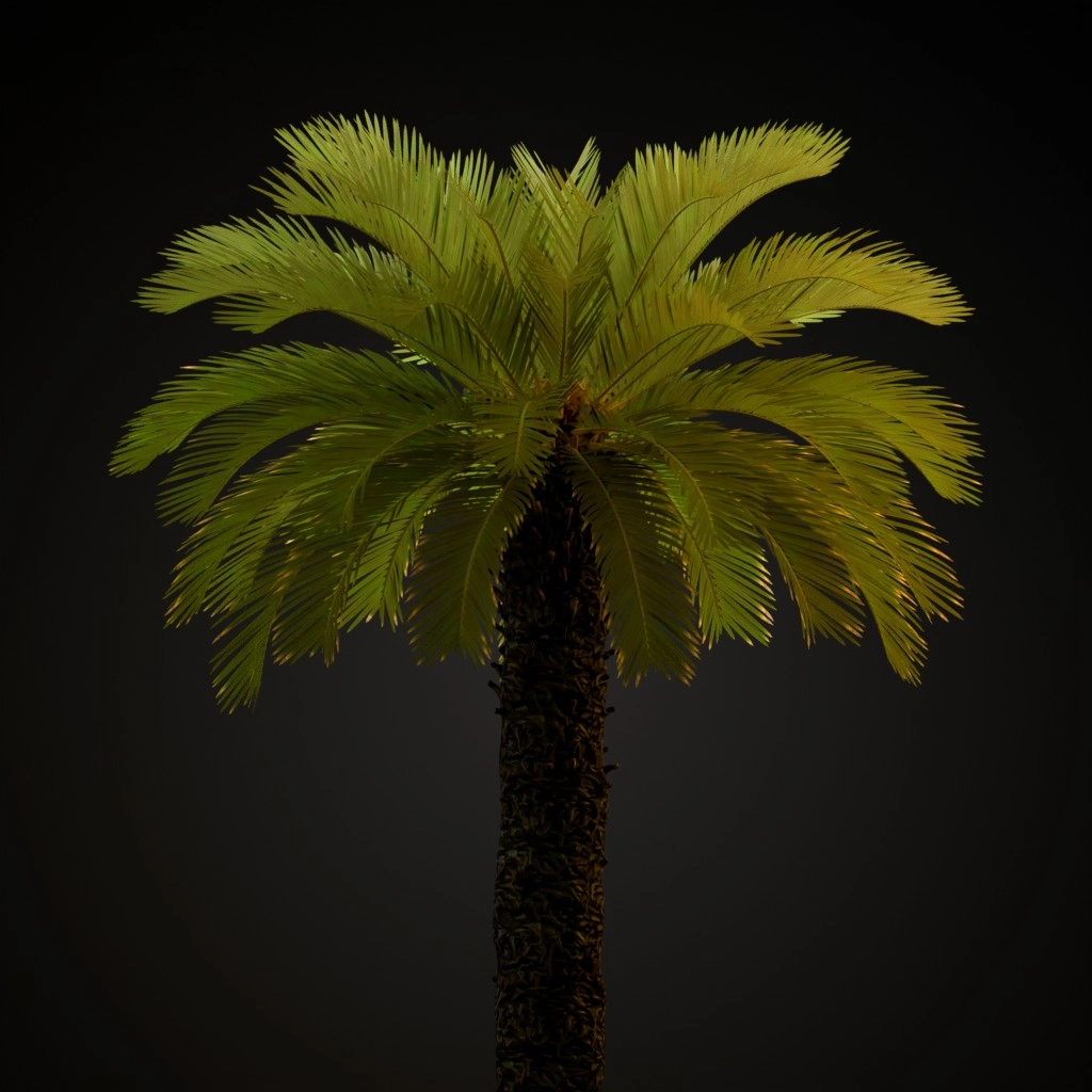 Sago Palm V2