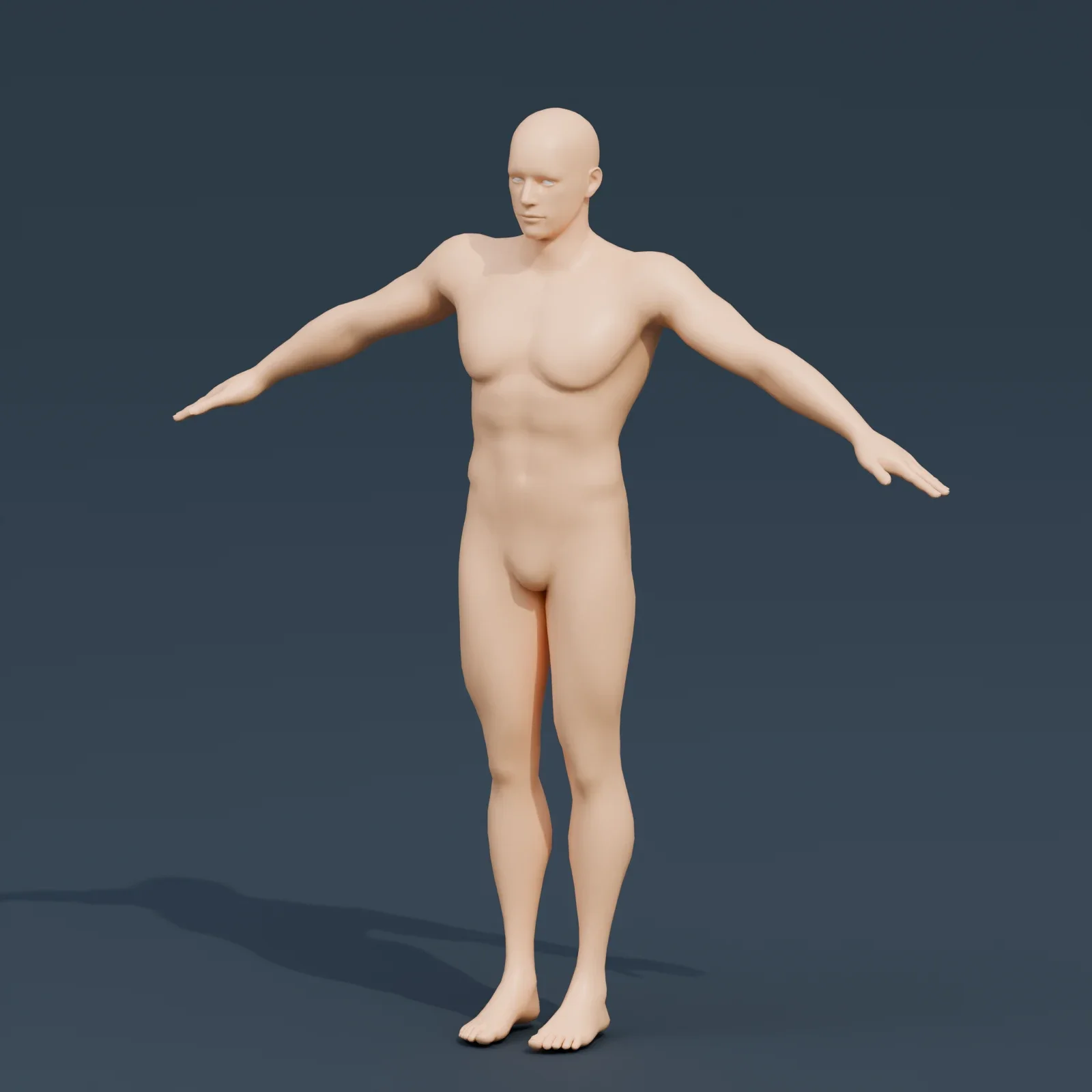 Basemesh Male 3