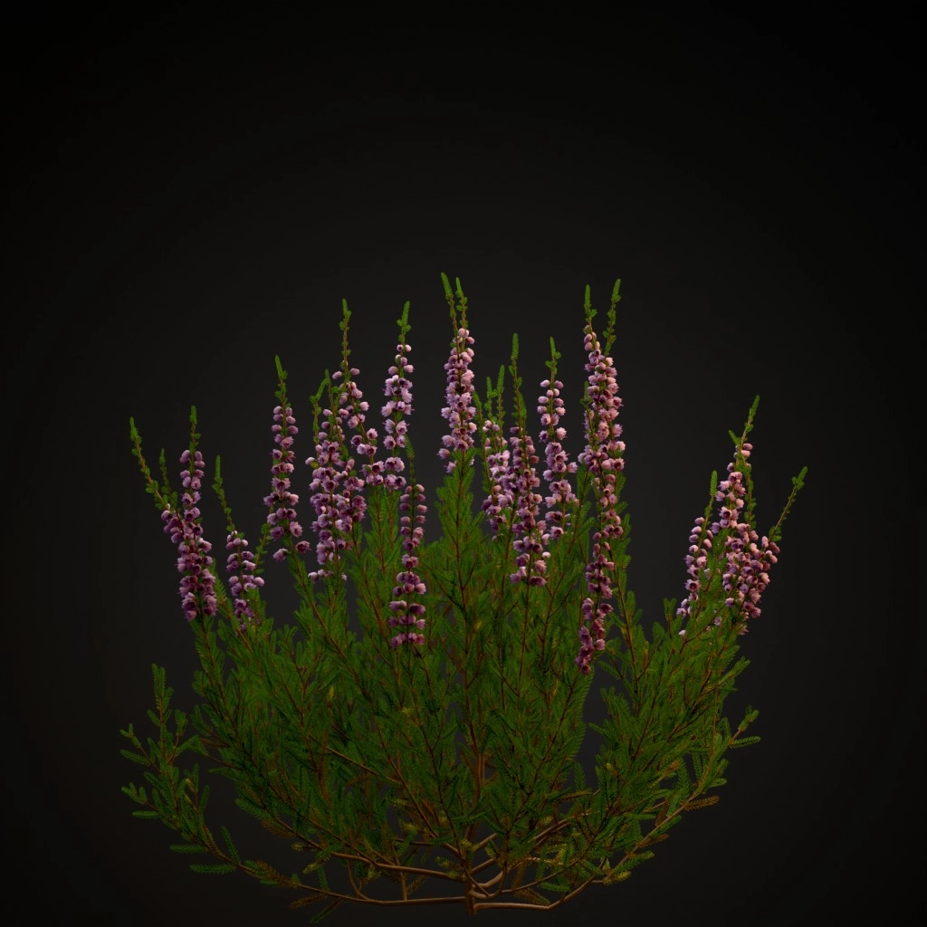 Heather Light Pink