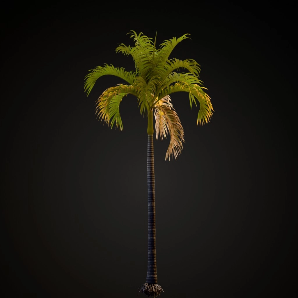 Christmas Palm