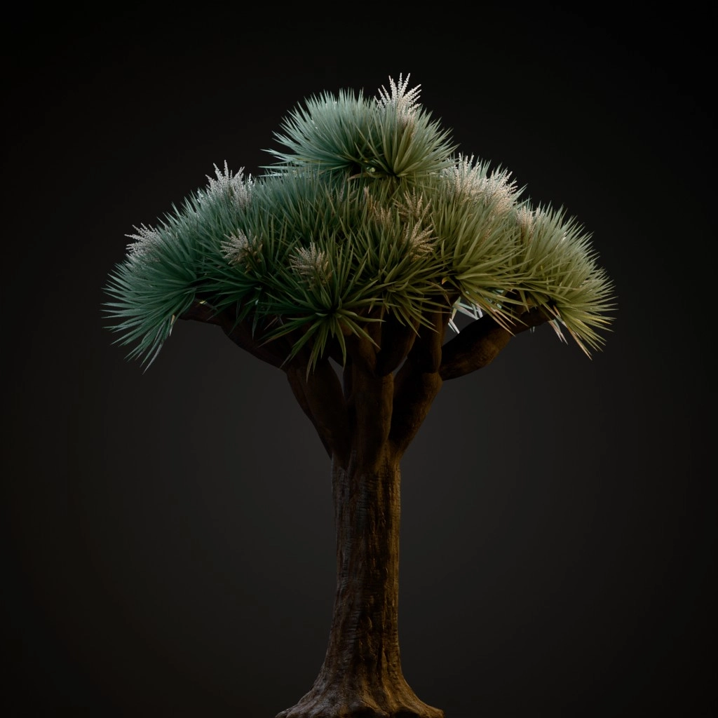 Dragon Tree