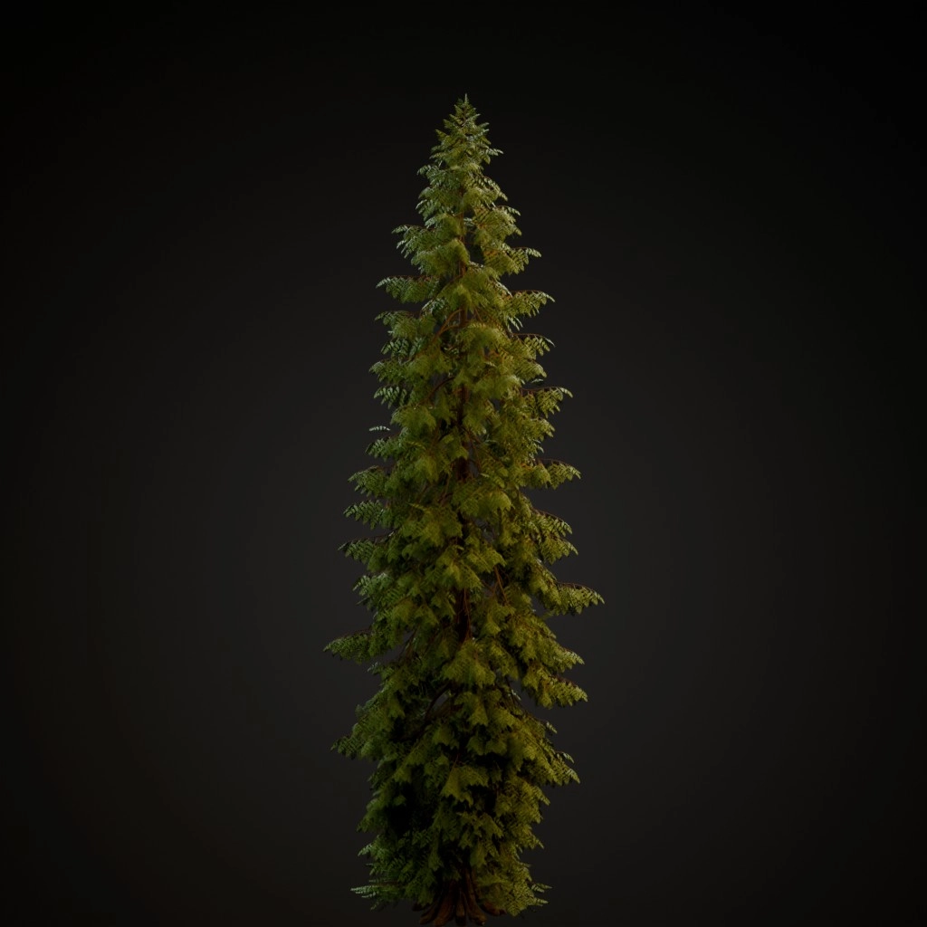 Western Red Cedar V2
