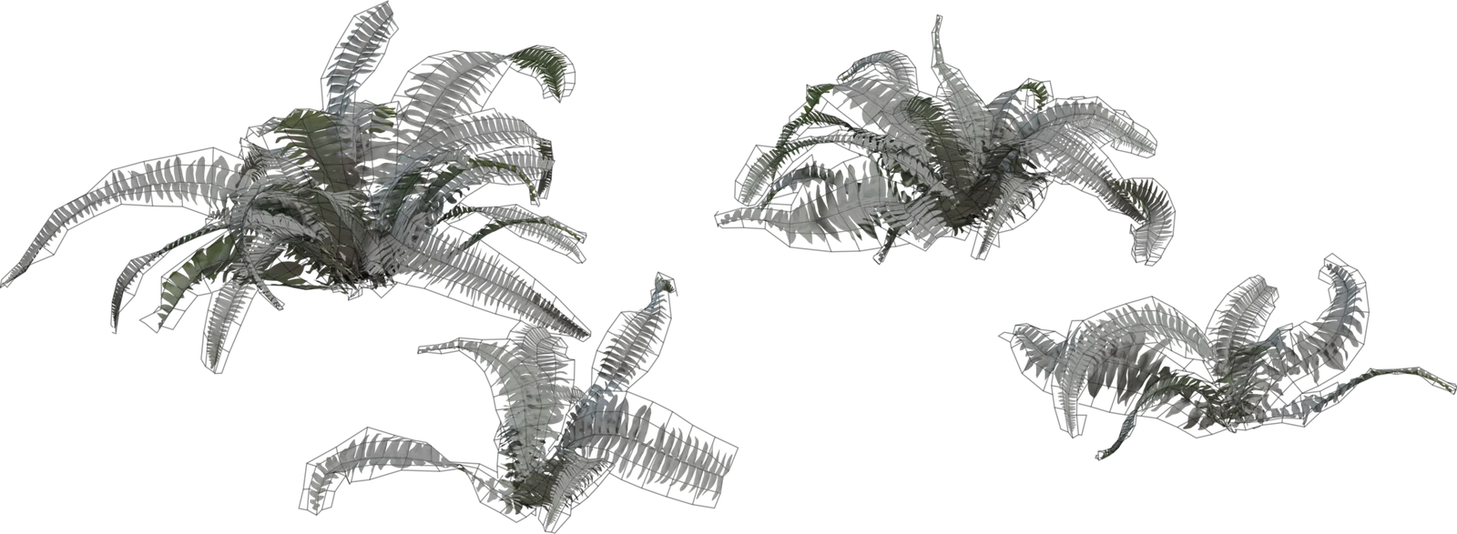 Realistic Fern Plant Pack 4K, 3D model preview 1