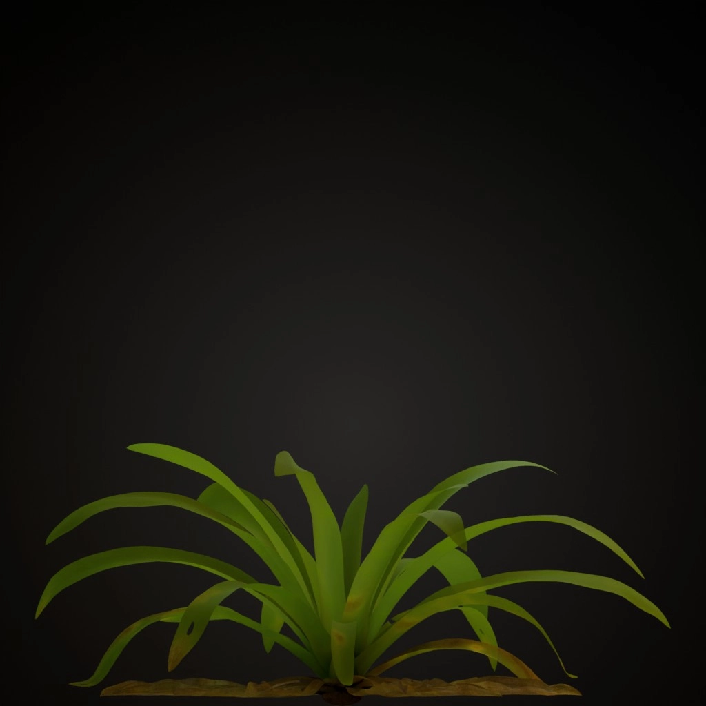 Yellow Guzmania