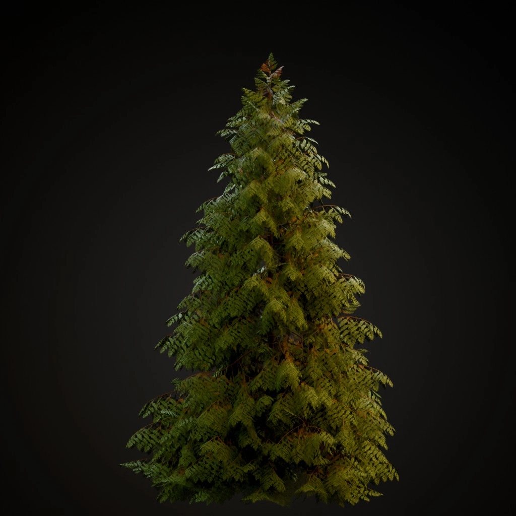 Western Red Cedar V2