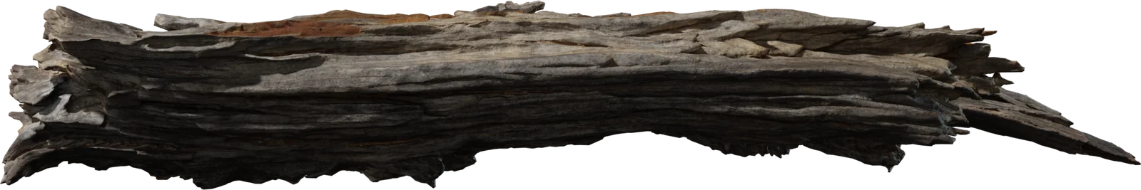 Weathered Bark Debris Pack – 4K Photorealistic Driftwood Fragments, 3D model preview 3