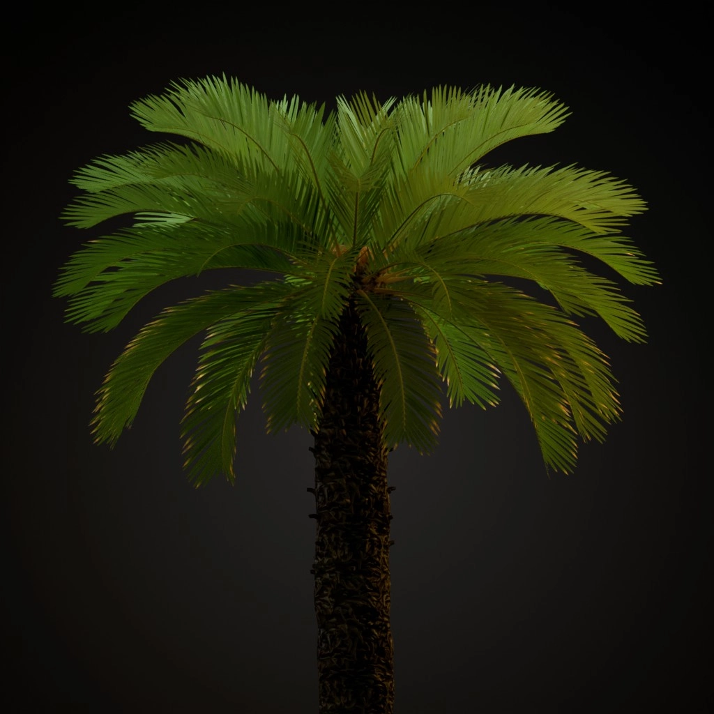 Sago Palm V2