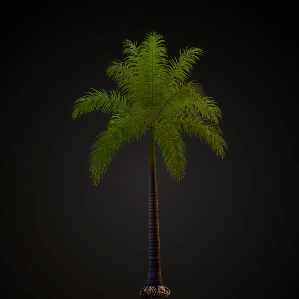 Royal Palm