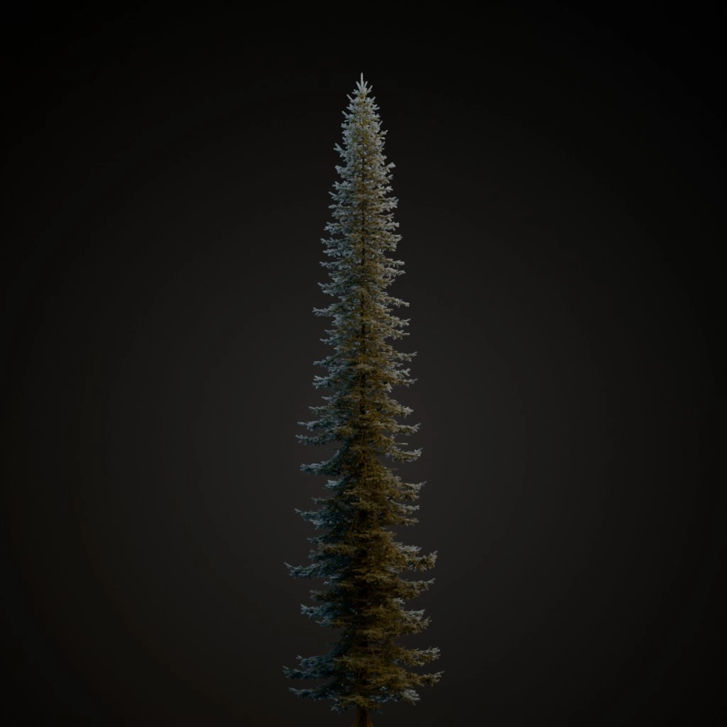 Blue Spruce V2