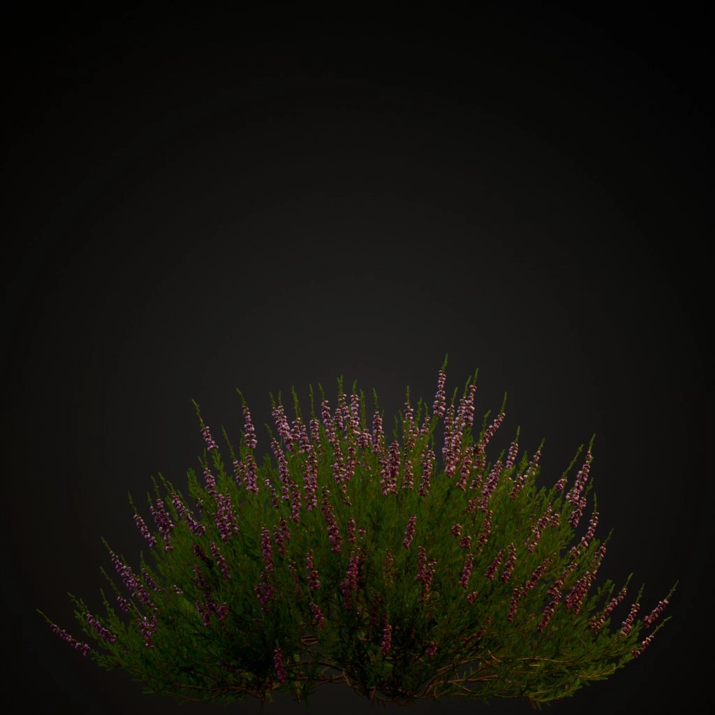 Heather Light Pink