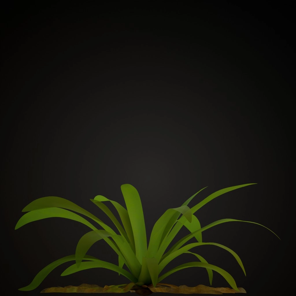 Yellow Guzmania