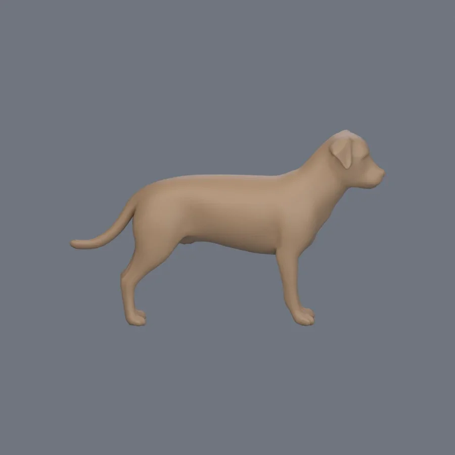 Dog Basemesh 03, 3D model preview 5