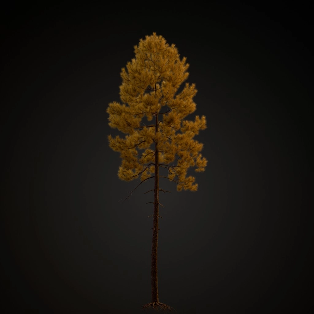 Maritime Pine V2