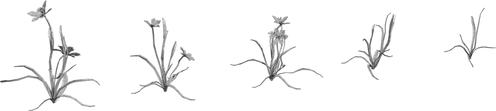 Empodium Wildflower Plant Pack – 5 Growth Stages, 3D model preview 1