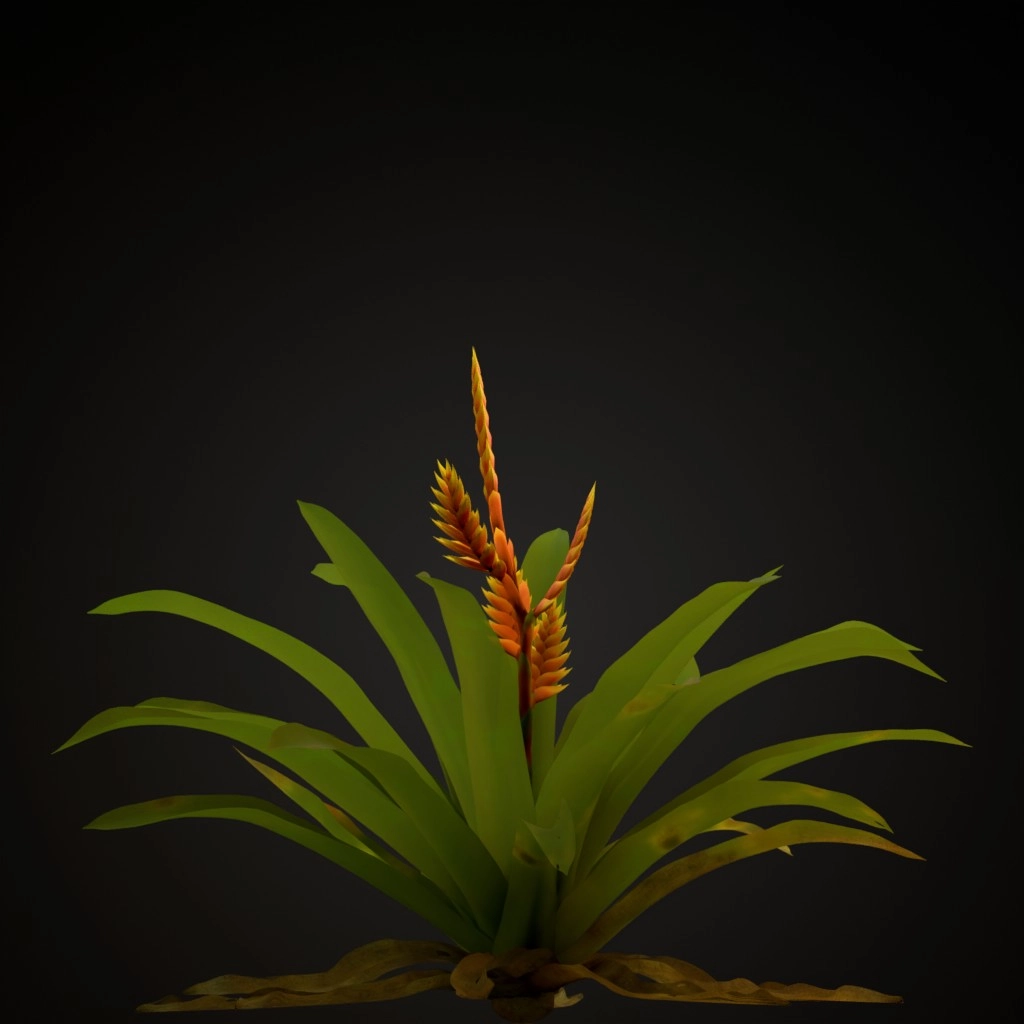 Flaming Sword