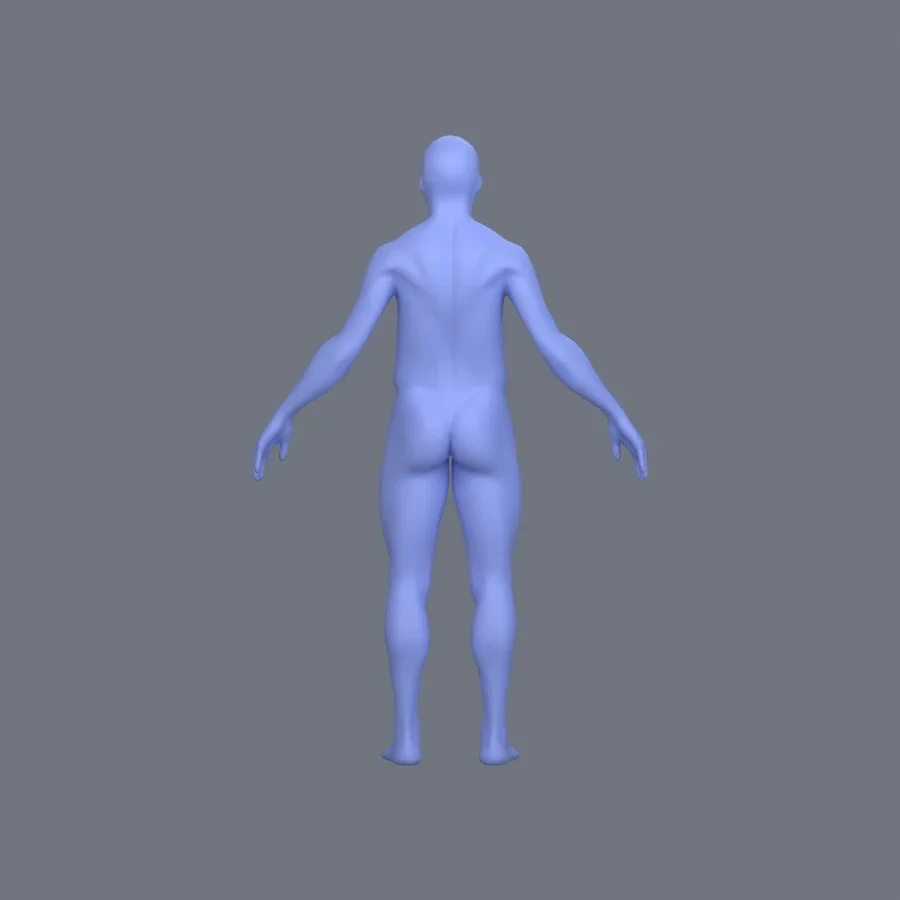 Basemesh Male Adult, 3D model preview 4