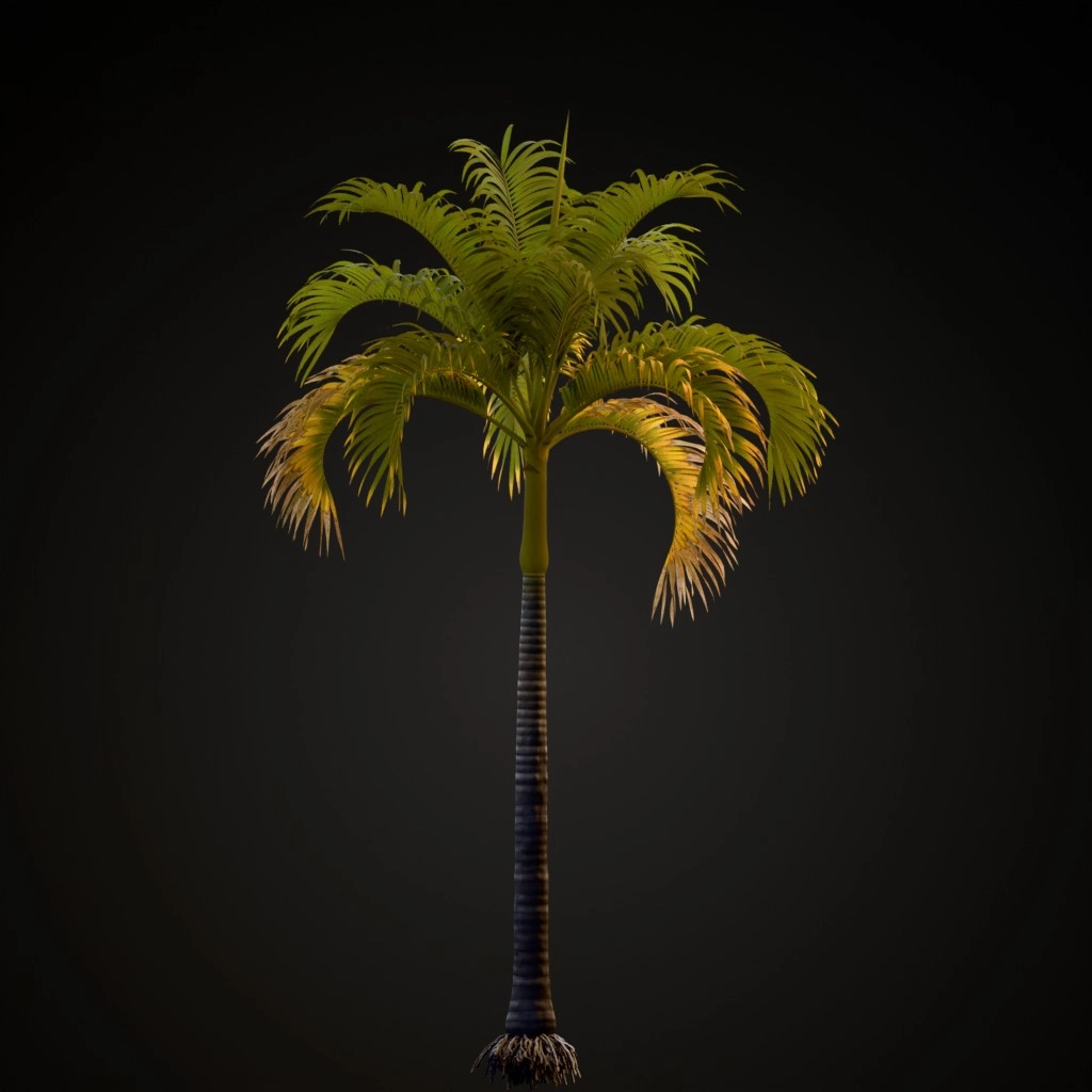 Christmas Palm