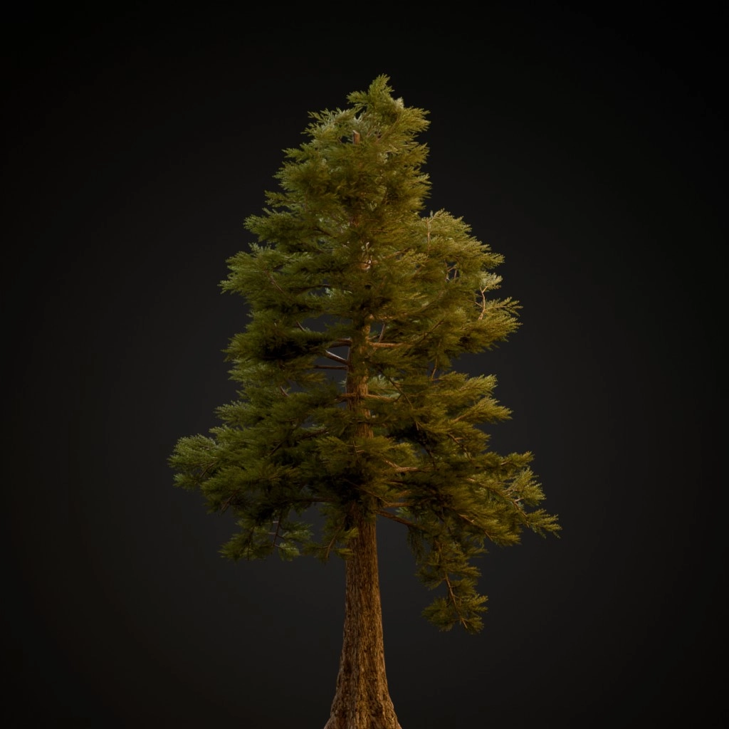 Western Red Cedar