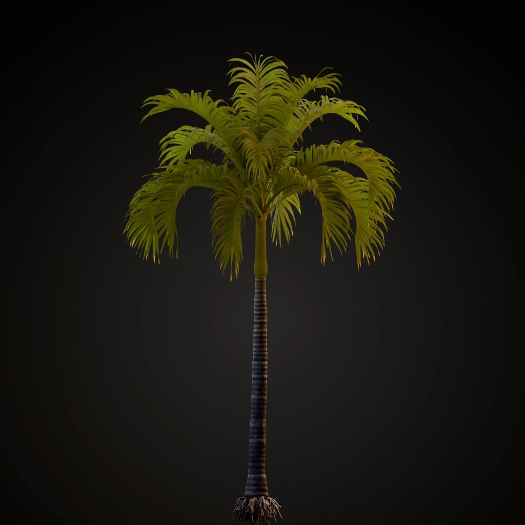 Christmas Palm