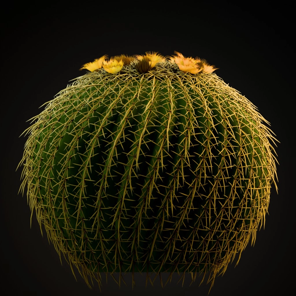 Golden Barrel Cactus