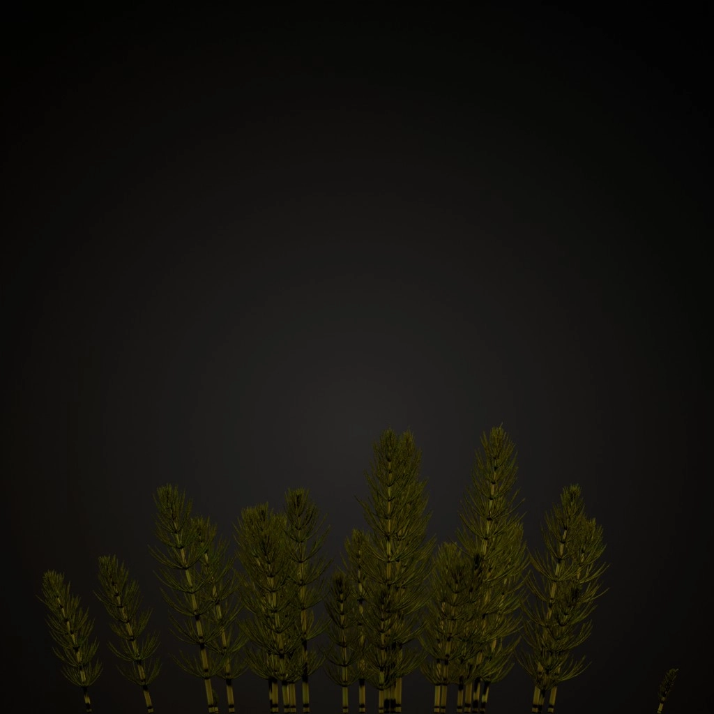Green Horsetail