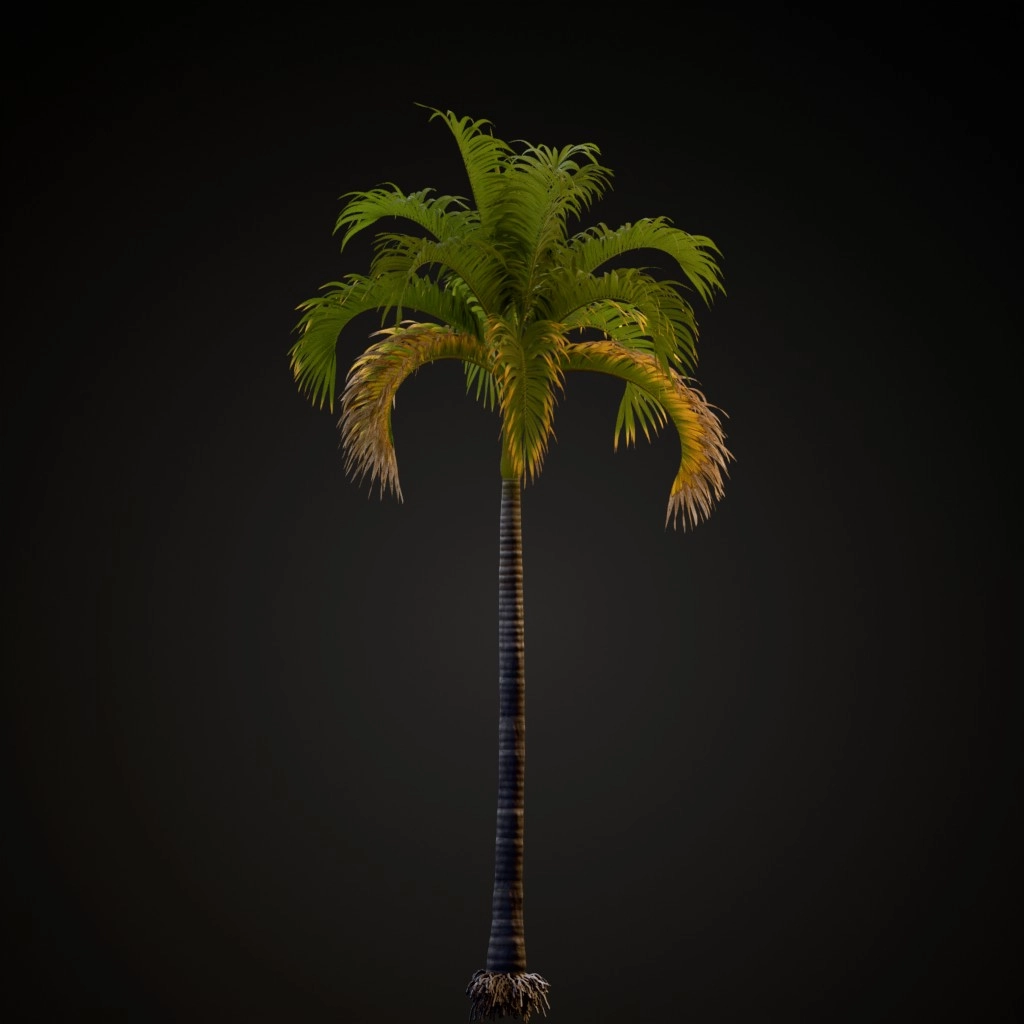 Christmas Palm