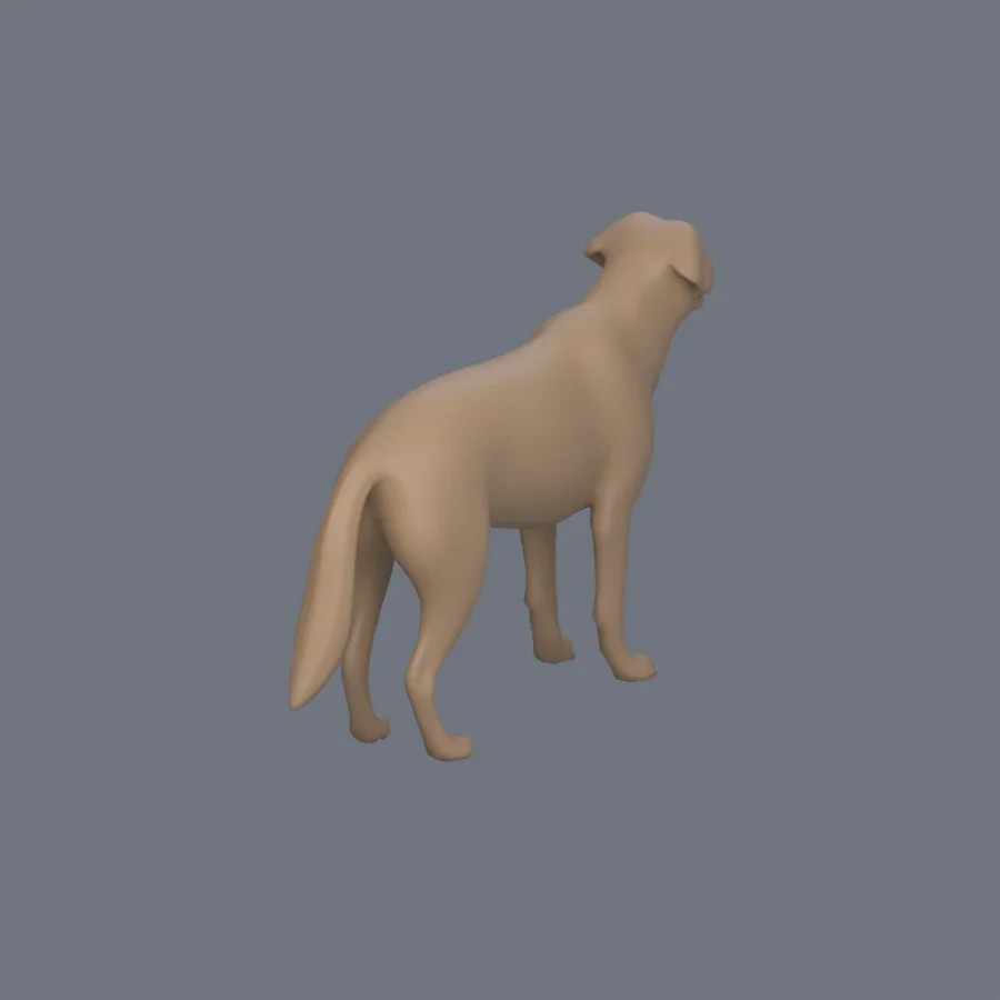 Dog Basemesh 07, 3D model preview 7