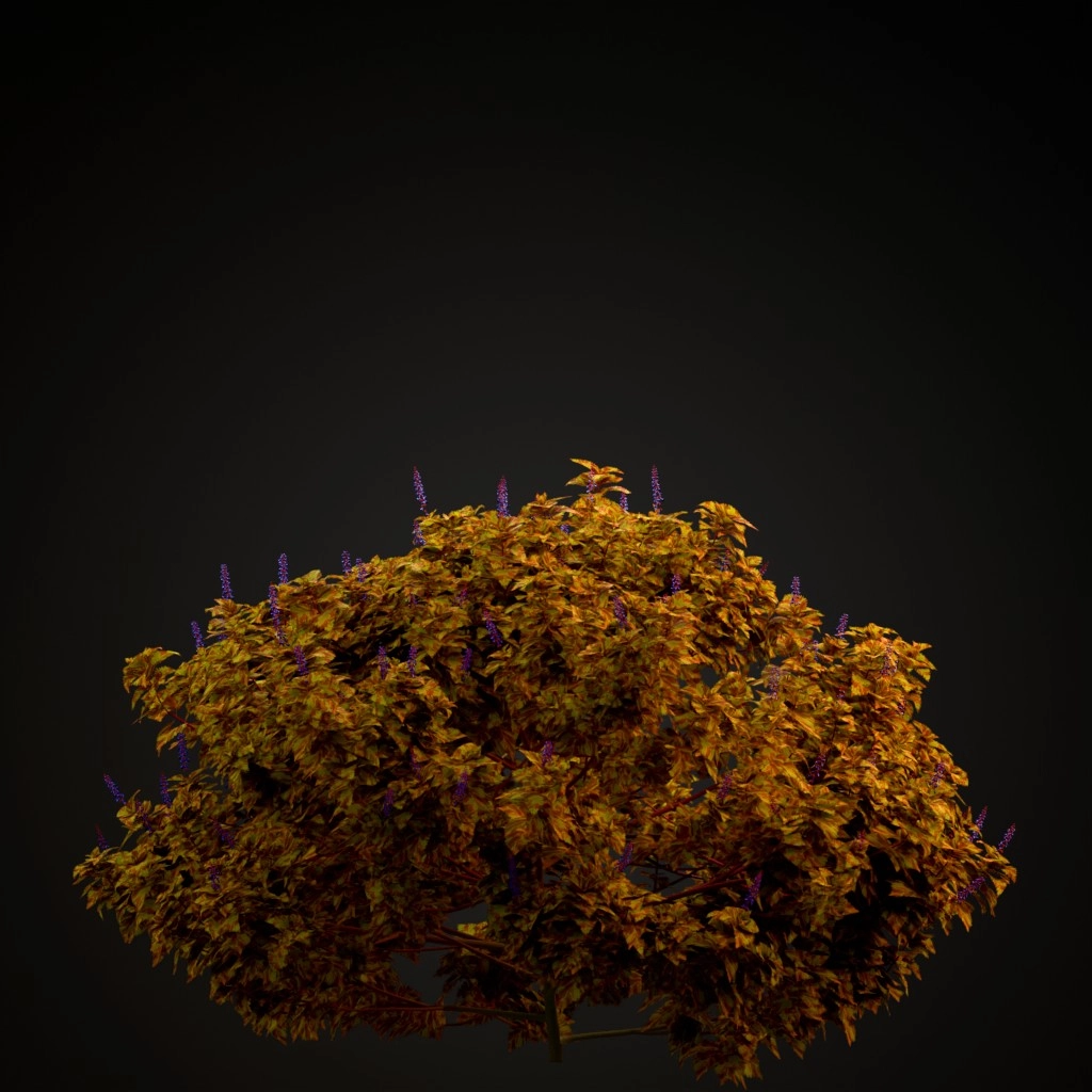 Fairway Mosaic Coleus