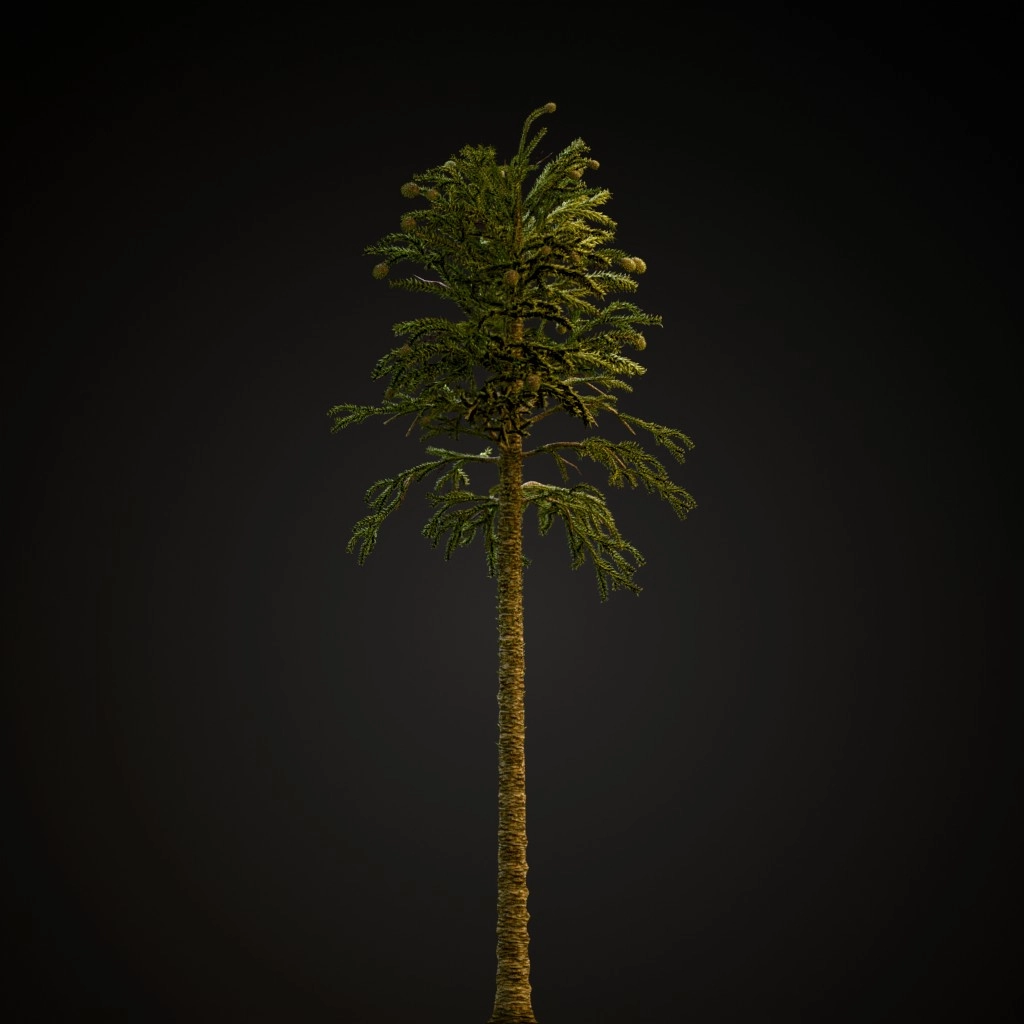 Monkey Puzzle