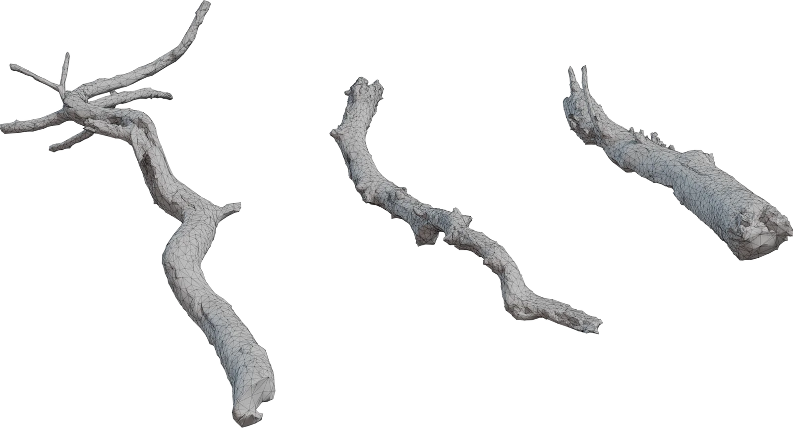 Dry Dead Tree Branches Pack – 4K Photorealistic Nature Props, 3D model preview 1
