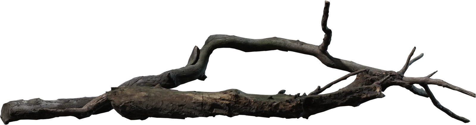 Dry Dead Tree Branches Pack – 4K Photorealistic Nature Props, 3D model preview 3