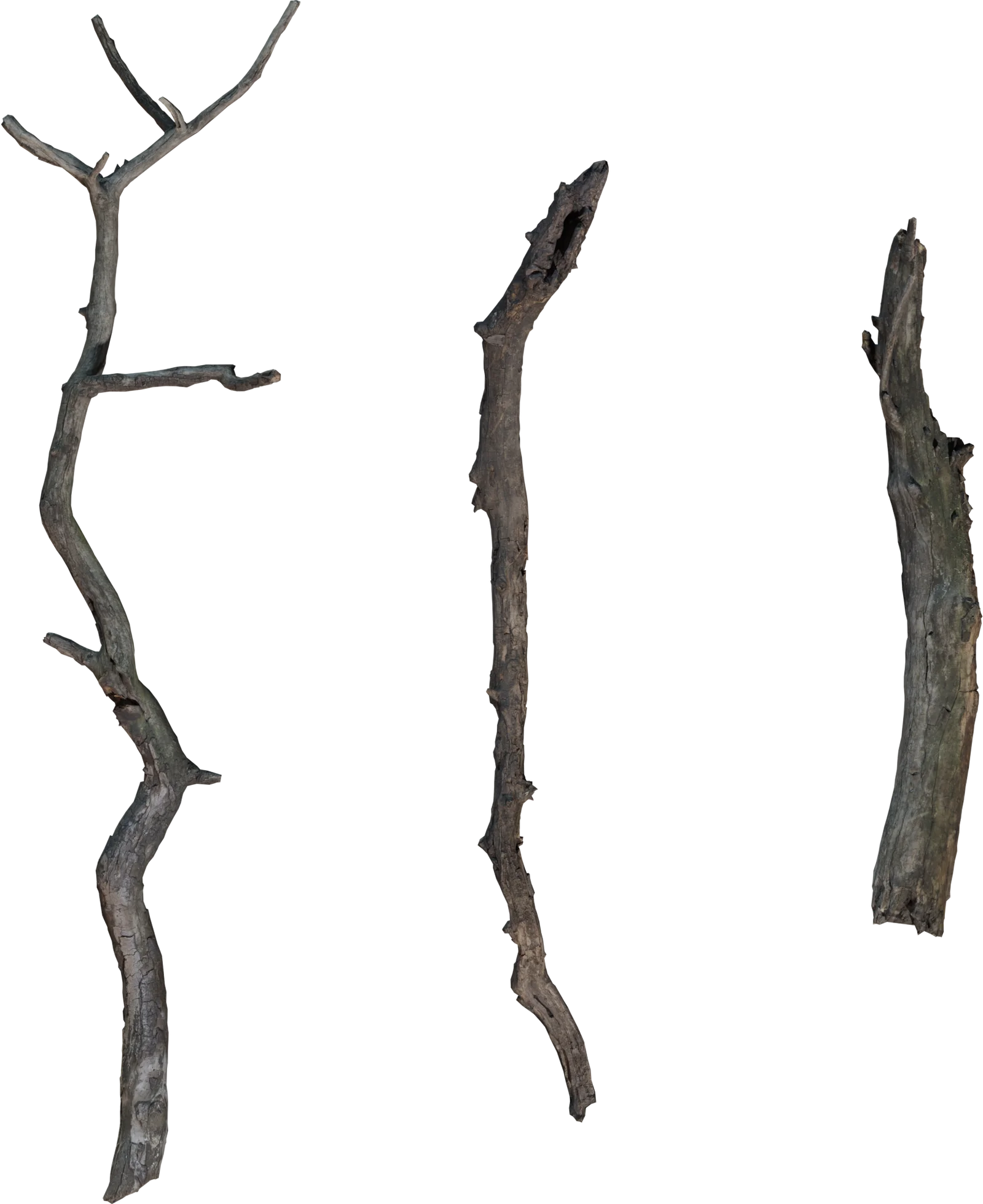 Dry Dead Tree Branches Pack – 4K Photorealistic Nature Props, 3D model preview 4