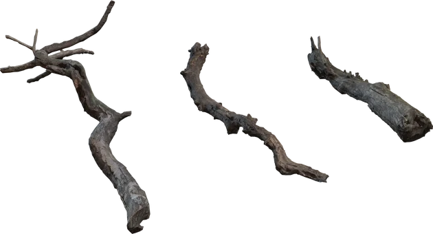 Dry Dead Tree Branches Pack – 4K Photorealistic Nature Props, 3D model preview 5
