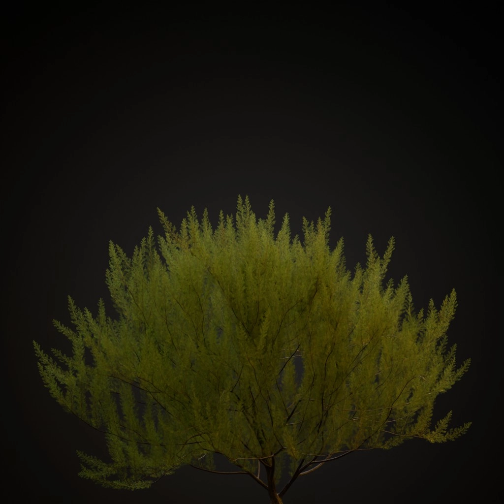 French Tamarisk