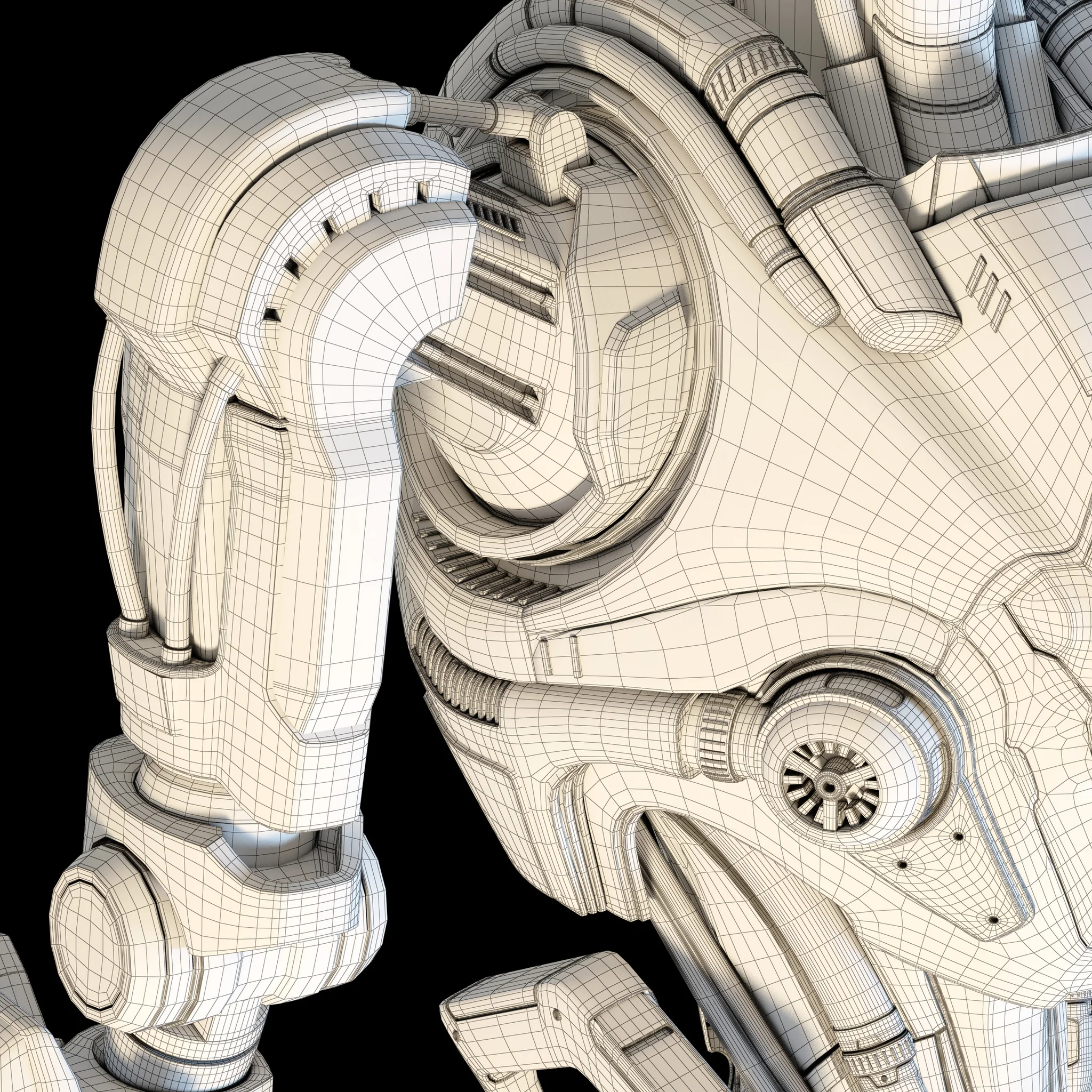 Samuel Hayden — 3D model preview 22