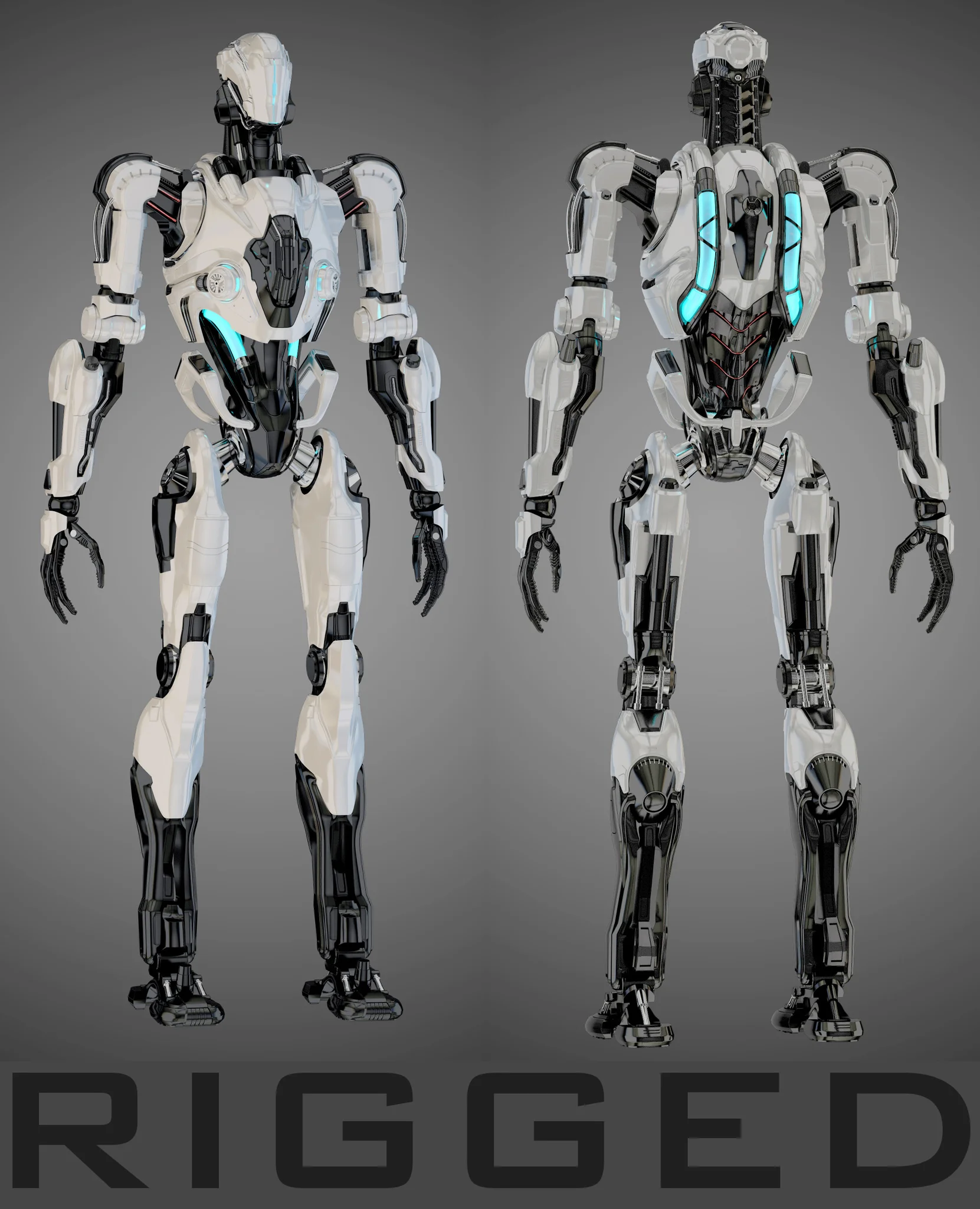 Samuel Hayden — 3D model preview 29