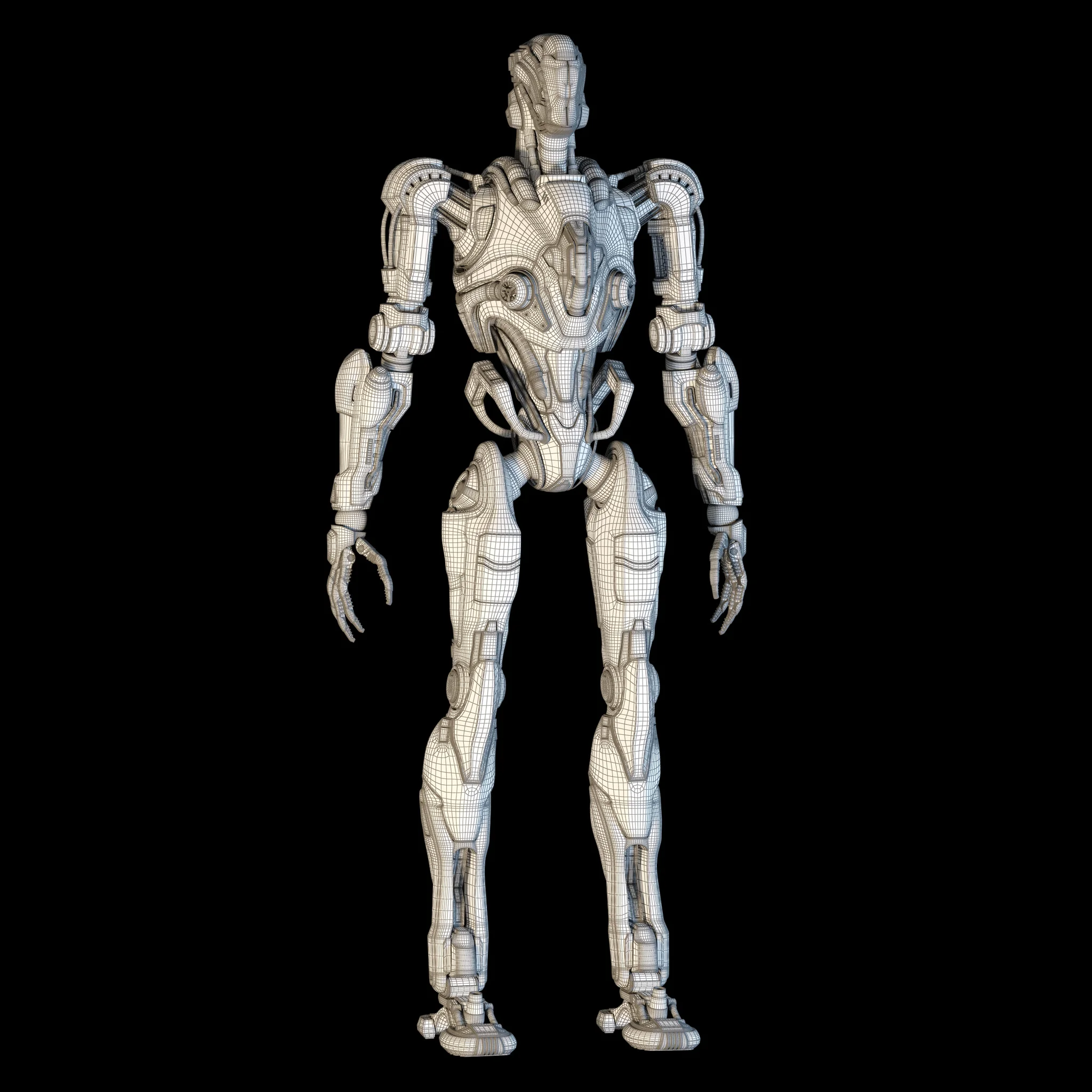 Samuel Hayden — 3D model preview 30