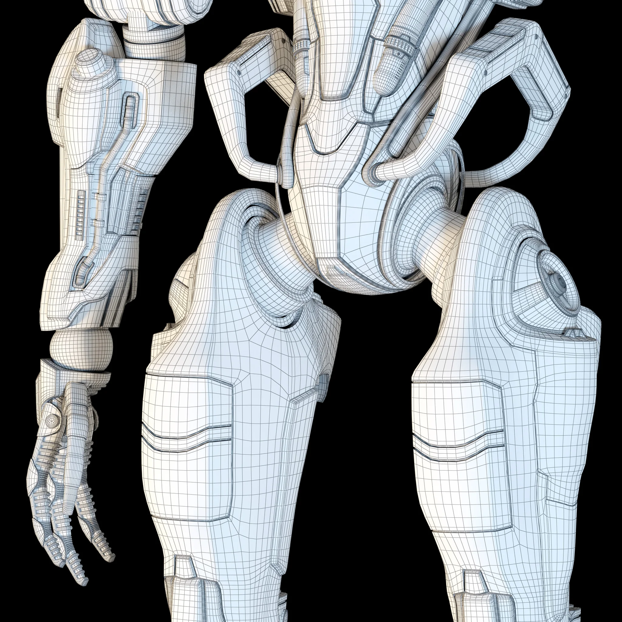Samuel Hayden — 3D model preview 50
