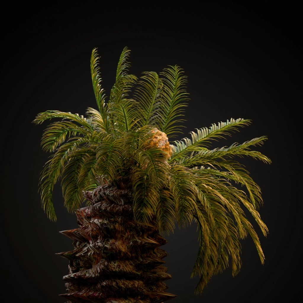 Sago Palm
