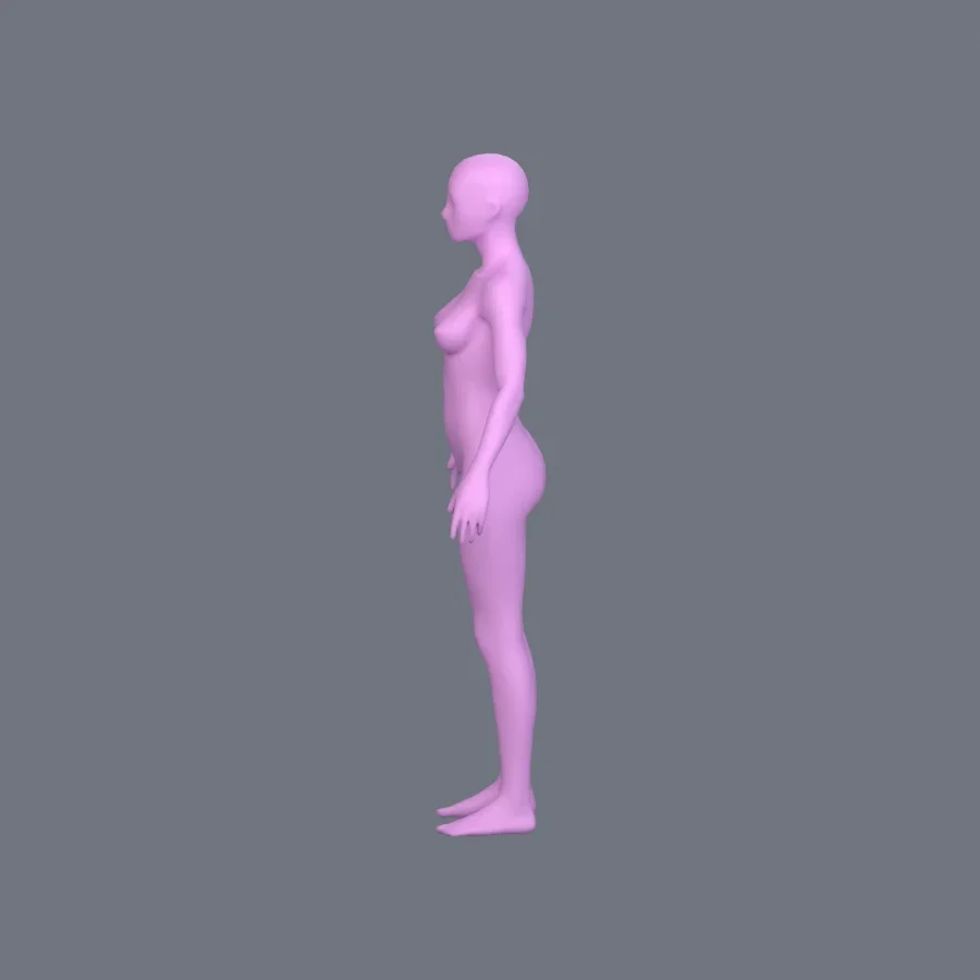 Basemesh Female Adult, 3D model preview 3