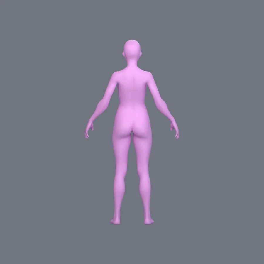 Basemesh Female Adult, 3D model preview 4