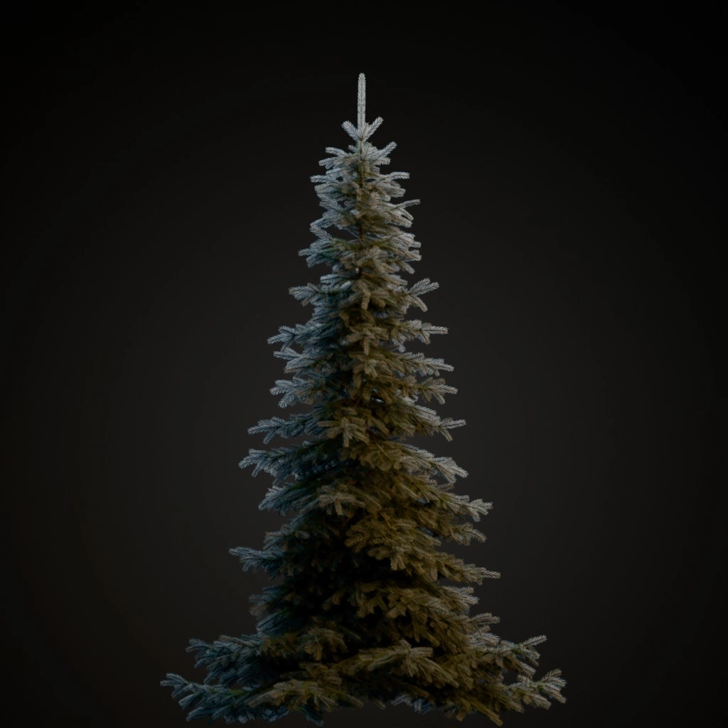 Koster Blue Spruce