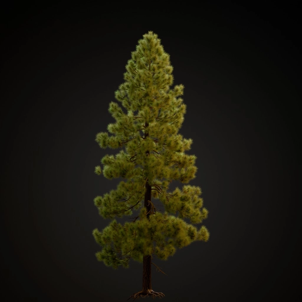 Jeffrey Pine V3