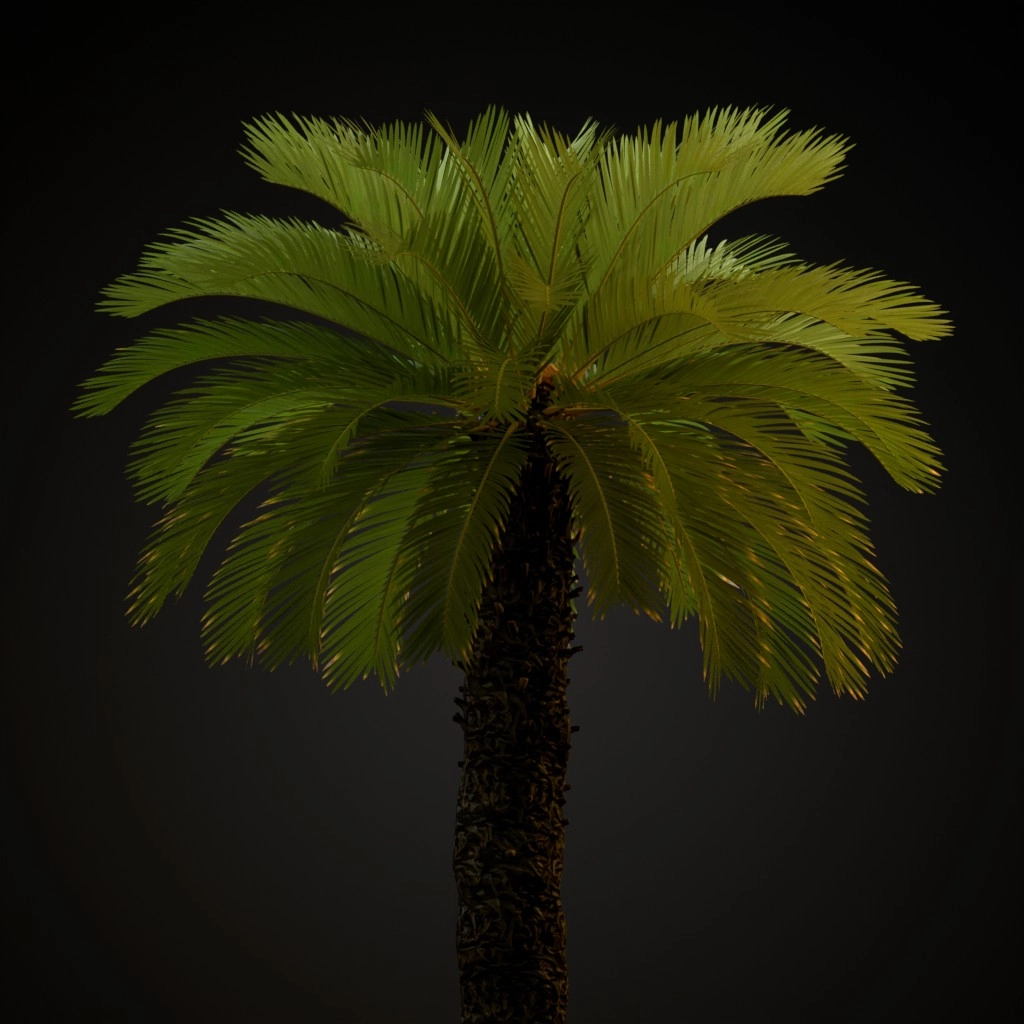 Sago Palm V2