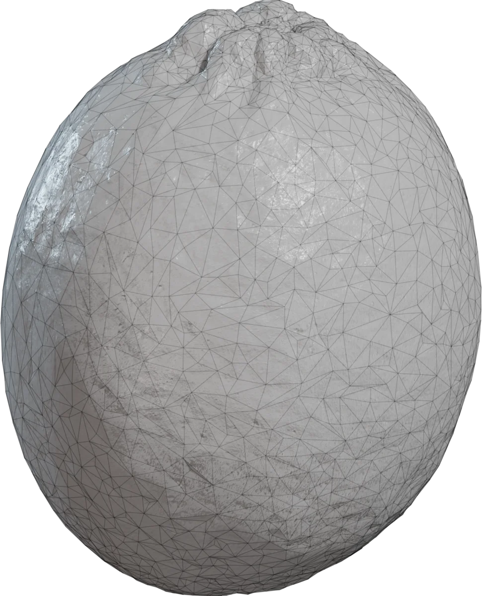 Realistic Green Lime Fruit — 3D model preview 1