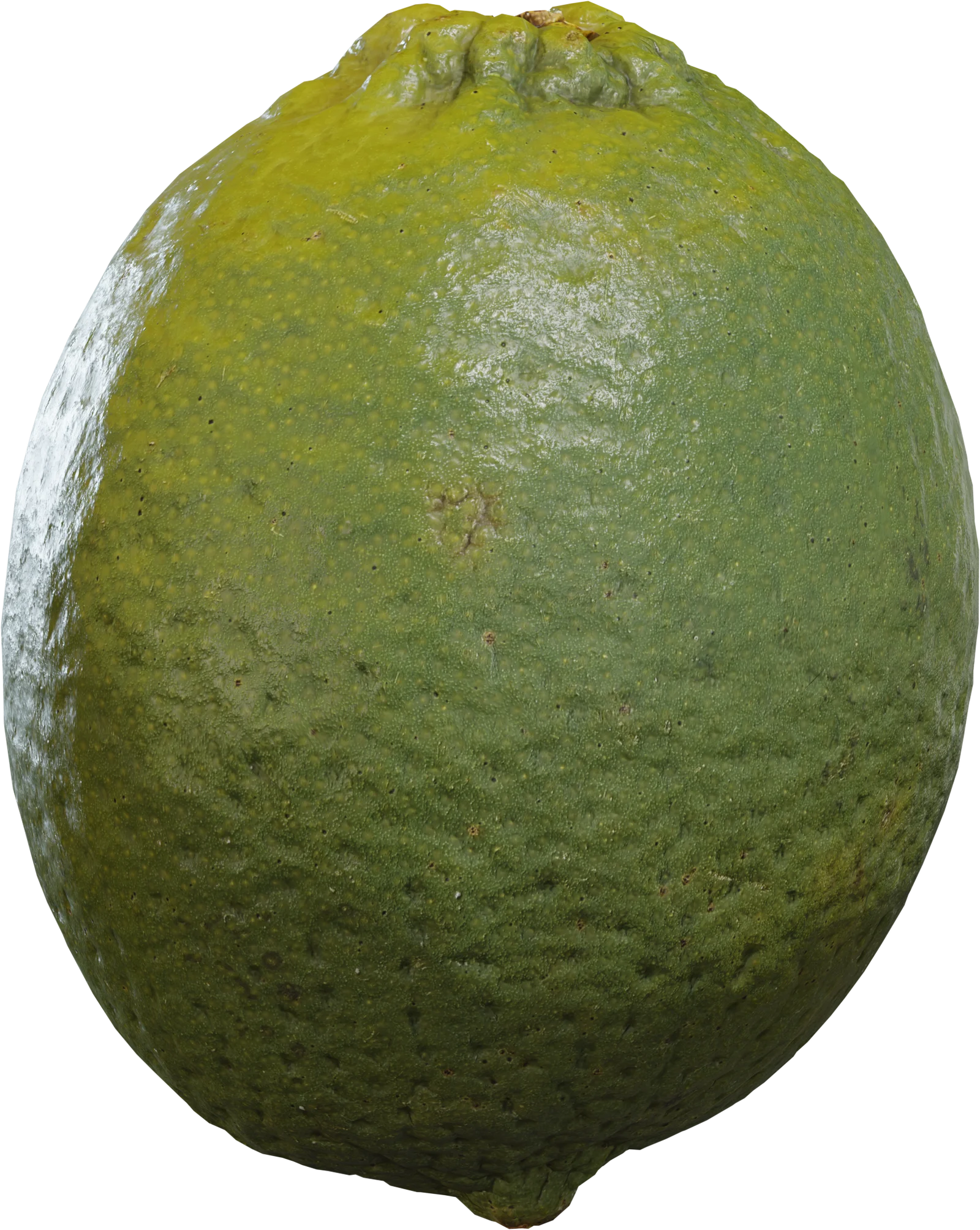 Realistic Green Lime Fruit — 3D model preview 2