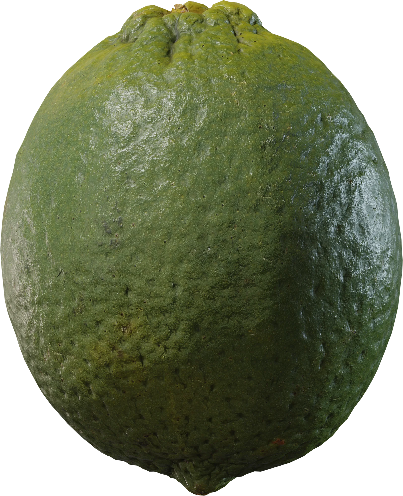 Realistic Green Lime Fruit — 3D model preview 3