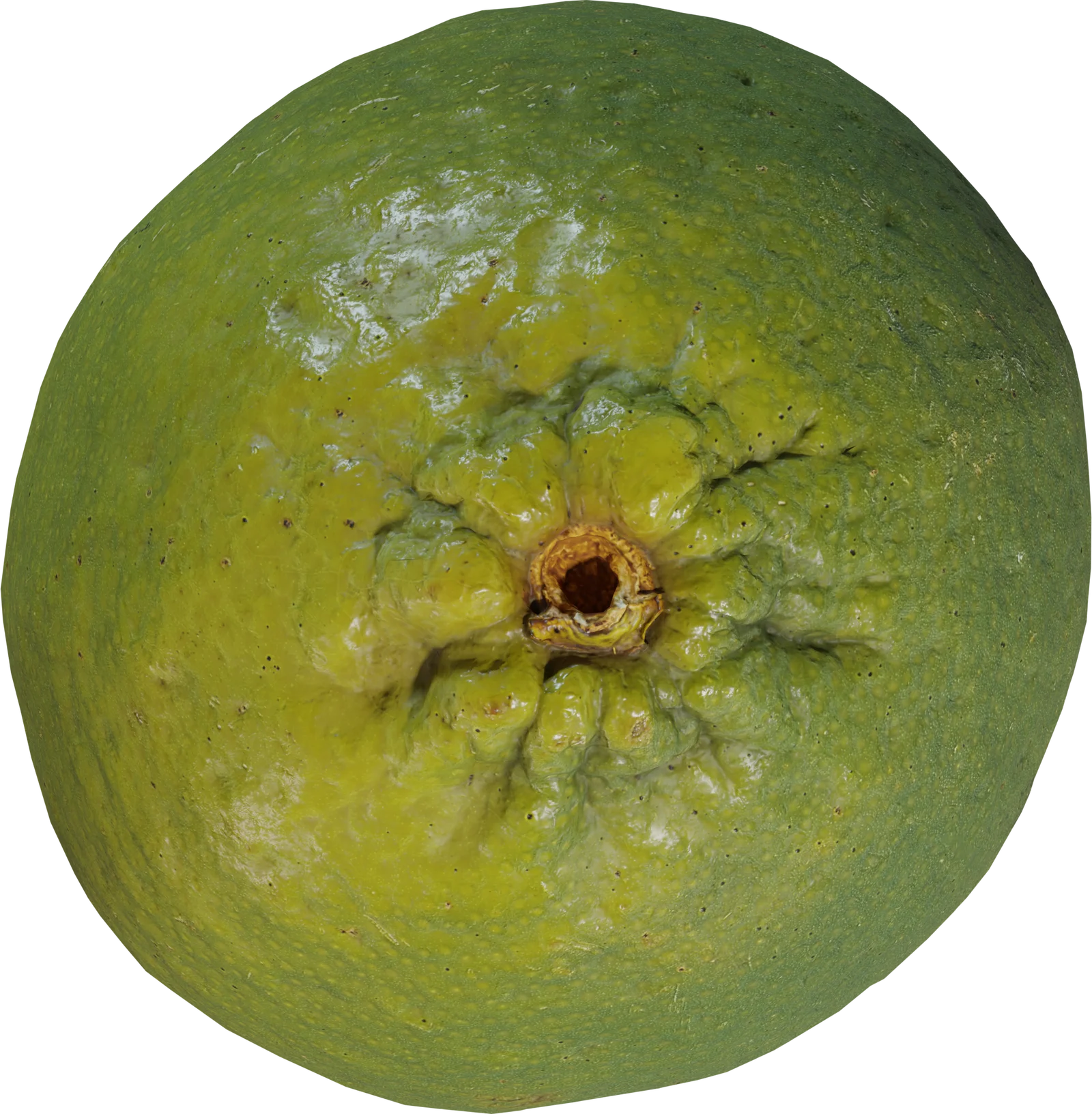 Realistic Green Lime Fruit — 3D model preview 4